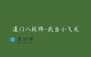 道门八段锦-武当小飞龙