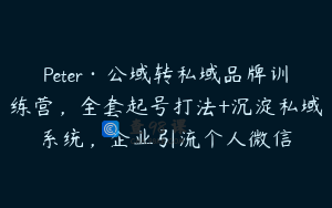 Peter·公域转私域品牌训练营，全套起号打法+沉淀私域系统，企业引流个人微信