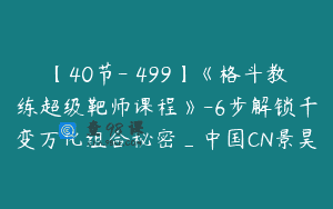 【40节-￥499】《格斗教练超级靶师课程》-6步解锁千变万化组合秘密_中国CN景昊