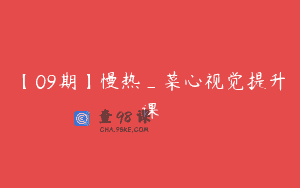 【09期】慢热_菜心视觉提升课