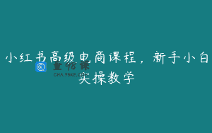 小红书高级电商课程，新手小白实操教学