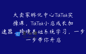 大卖家孵化中心TikTok实操课，TikTok小店成长加速器，跨境基础系统学习，一步一步带你开店