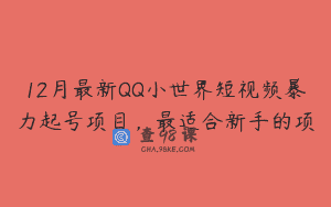 12月最新QQ小世界短视频暴力起号项目，最适合新手的项