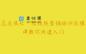蕊总很忙·短视频营销培训实操课教你快速入门