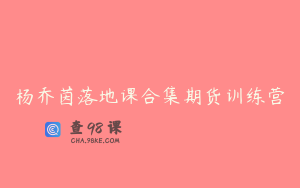 杨乔茵落地课合集期货训练营