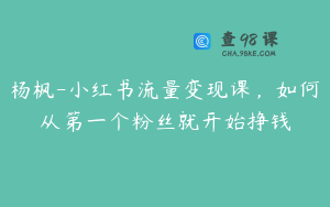 杨枫-小红书流量变现课，如何从第一个粉丝就开始挣钱