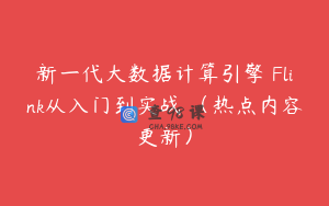 新一代大数据计算引擎 Flink从入门到实战 （热点内容更新）