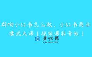 群响小红书怎么做,小红书商业模式大课【视频课非音频】
