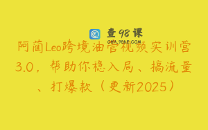 阿蔺Leo跨境油管视频实训营3.0，帮助你稳入局、搞流量、打爆款（更新2025）