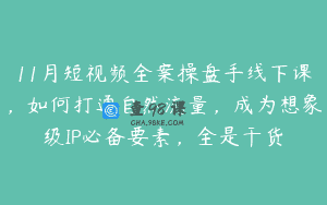 11月短视频全案操盘手线下课，如何打通自然流量，成为想象级IP必备要素，全是干货