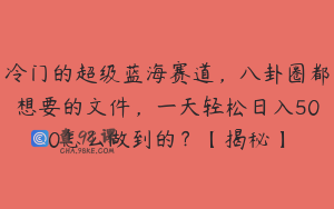 冷门的超级蓝海赛道，八卦圈都想要的文件，一天轻松日入500怎么做到的？【揭秘】