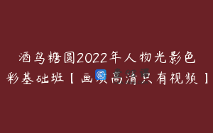 酒鸟糖圆2022年人物光影色彩基础班【画质高清只有视频】
