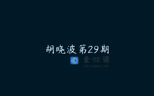 胡晓波第29期