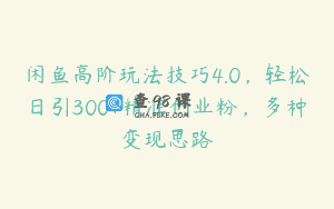 闲鱼高阶玩法技巧4.0，轻松日引300+精准创业粉，多种变现思路
