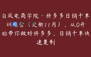 白凤电商学院·拼多多日销千单训练营（更新11月），从0开始带你做好拼多多，日销千单快速复制