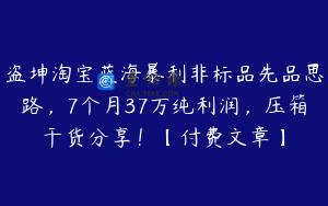 盗坤淘宝蓝海暴利非标品先品思路，7个月37万纯利润，压箱干货分享！【付费文章】