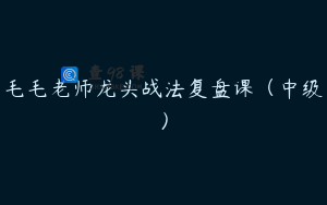 毛毛老师龙头战法复盘课（中级）