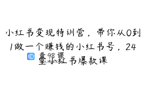 小红书变现特训营，带你从0到1做一个赚钱的小红书号，24堂小红书爆款课