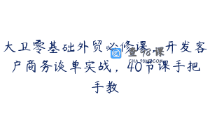 大卫零基础外贸必修课，开发客户商务谈单实战，40节课手把手教