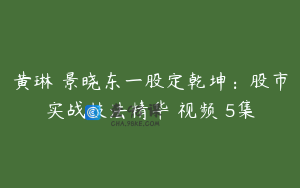 黄琳 景晓东一股定乾坤：股市实战技法精华 视频 5集