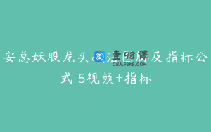 安总妖股龙头战法图解及指标公式 5视频+指标