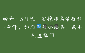 哈哥·3月线下实操课高清视频+课件，如何玩转小而美，高毛利直播间