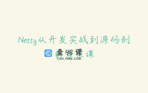 Netty从开发实战到源码剖析专家课