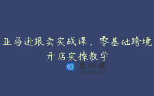 亚马逊跟卖实战课，零基础跨境开店实操教学