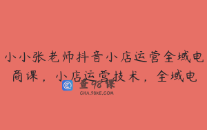 小小张老师抖音小店运营全域电商课,小店运营技术,全域电