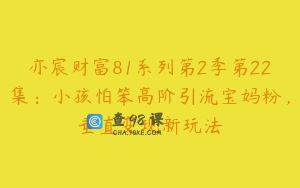 亦宸财富81系列第2季第22集：小孩怕笨高阶引流宝妈粉，垂直变现新玩法