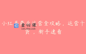 小红书商业运营全攻略，运营干货 ，新手速看