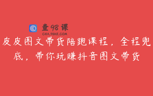 皮皮图文带货陪跑课程，全程兜底，带你玩赚抖音图文带货