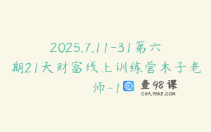 2025.7.11-31第六期21天财富线上训练营木子老师-1