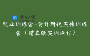 就业训练营-会计新锐实操训练营（赠真账实训课程）