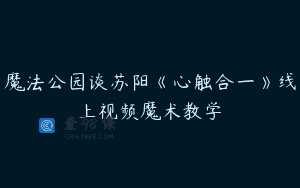 魔法公园谈苏阳《心触合一》线上视频魔术教学