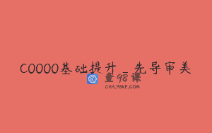 C0000基础提升_先导审美
