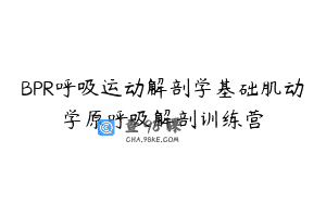 BPR呼吸运动解剖学基础肌动学原呼吸解剖训练营