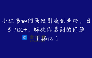 小红书如何高效引流创业粉，日引100+，解决你遇到的问题【揭秘】