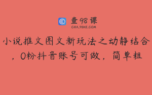 小说推文图文新玩法之动静结合，0粉抖音账号可做，简单粗