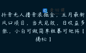 抖音无人撸音浪掘金，五月最新风口项目，当天见效，日收益多张，小白可做简单粗暴可矩阵【揭秘】