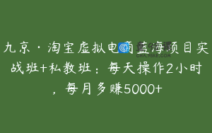 九京·淘宝虚拟电商蓝海项目实战班+私教班：每天操作2小时，每月多赚5000+