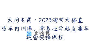 天问电商·2023淘宝天猫直通车内训课，零基础学起直通车运营实操课程