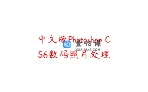中文版Photoshop CS6数码照片处理