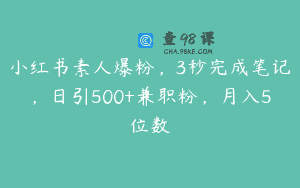 小红书素人爆粉，3秒完成笔记，日引500+兼职粉，月入5位数