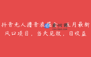 抖音无人撸音浪掘金，五月最新风口项目，当天见效，日收益