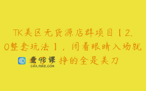 TK美区无货源店群项目【2.0整套玩法】，闭着眼睛入场就对了，挣的全是美刀