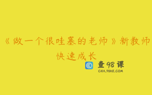 《做一个很哇塞的老师》新教师快速成长