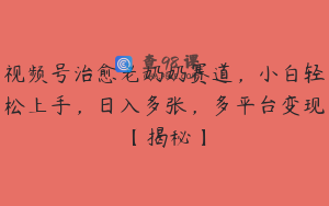 视频号治愈老奶奶赛道，小白轻松上手，日入多张，多平台变现【揭秘】