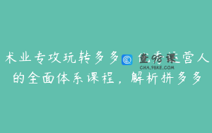 术业专攻玩转多多，优秀运营人的全面体系课程，解析拼多多