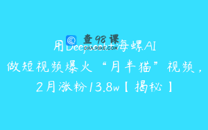 用Deepseek+海螺AI做短视频爆火“月半猫”视频，2月涨粉13.8w【揭秘】